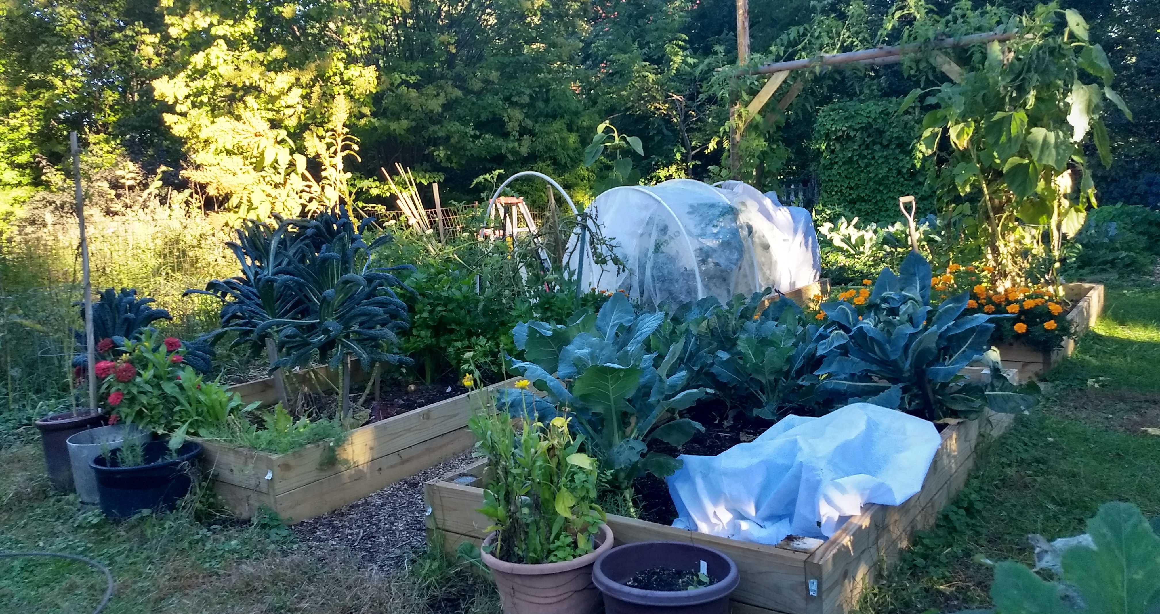 5 Steps To Prepare Your Garden For Winter - Forks in the Dirt