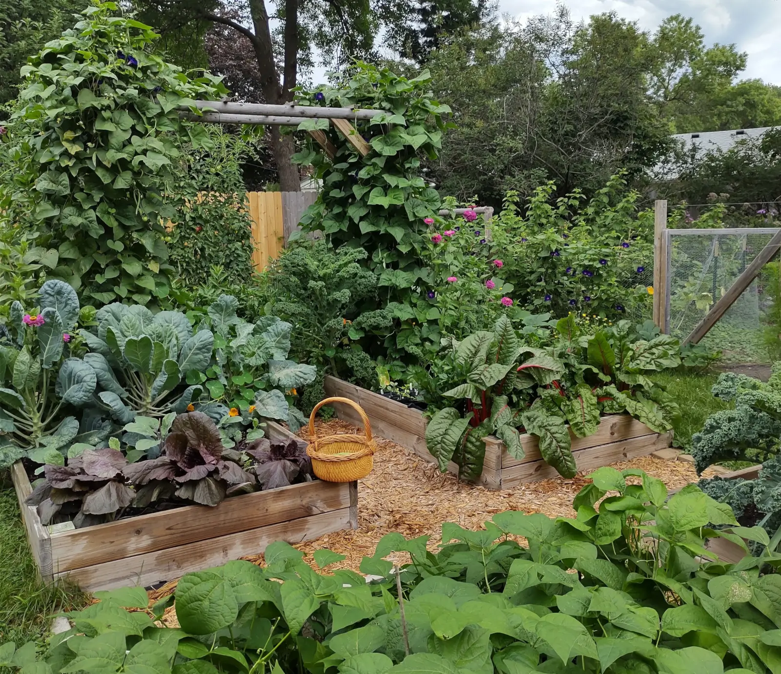 Sustainable Garden: Soil Health & No-Dig Methods